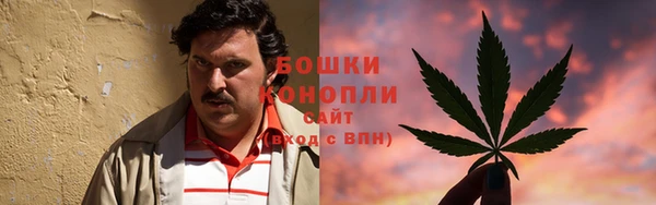 PSILOCYBIN Алексеевка