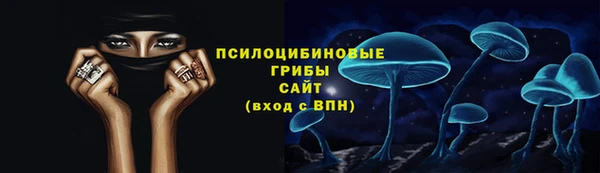 PSILOCYBIN Алексеевка