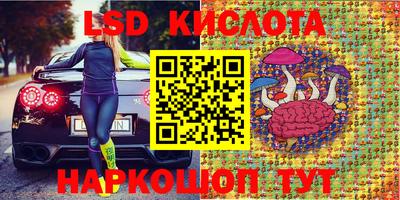 apvp Бийск