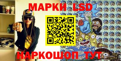 apvp Бийск