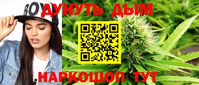 apvp Бийск