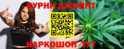 apvp Бийск