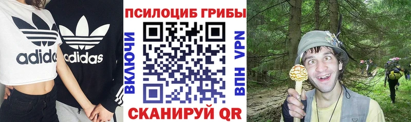 кракен ссылки  Березники  Галлюциногенные грибы ЛСД 