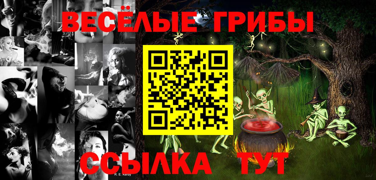 Галлюциногенные грибы GOLDEN TEACHER Березники