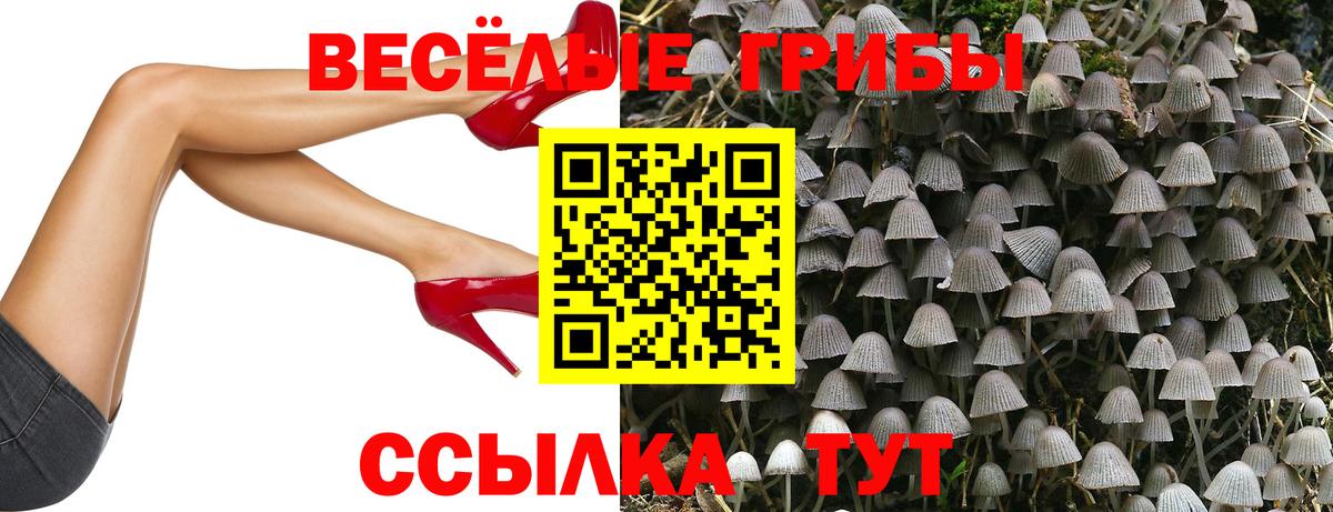 Псилоцибиновые грибы Cubensis  Галлюциногенные грибы GOLDEN TEACHER  Березники  Вход с VPN 