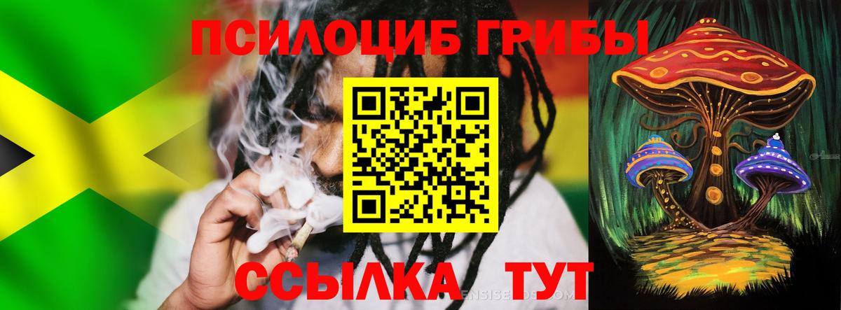 Галлюциногенные грибы прущие грибы  Вход с VPN  Березники 